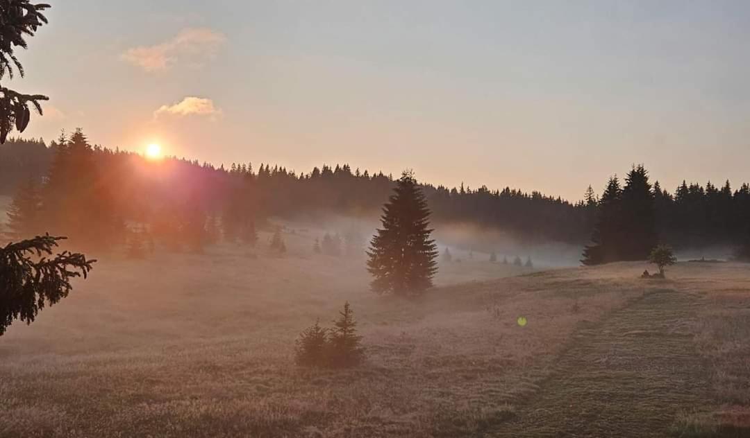 Ubytovani U Krizku Modrava Bagian luar foto