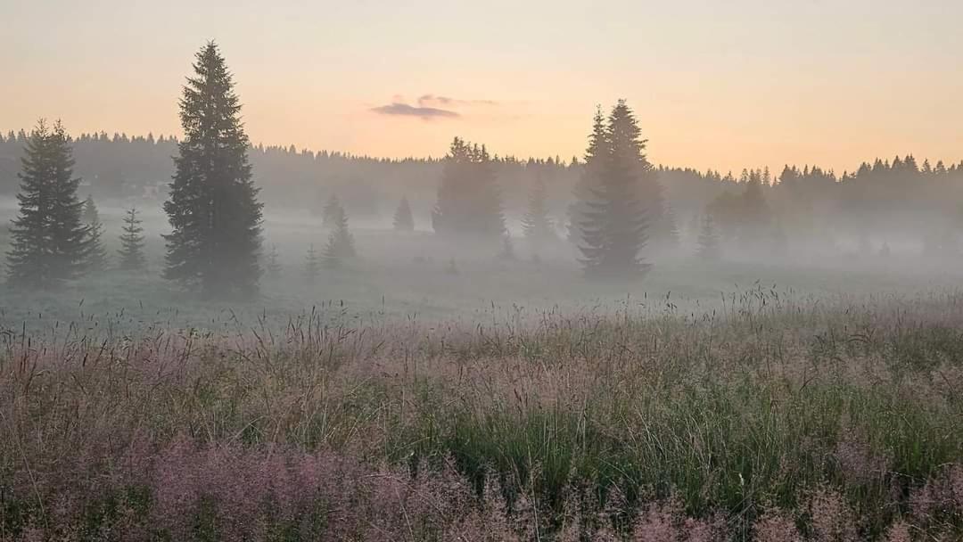 Ubytovani U Krizku Modrava Bagian luar foto