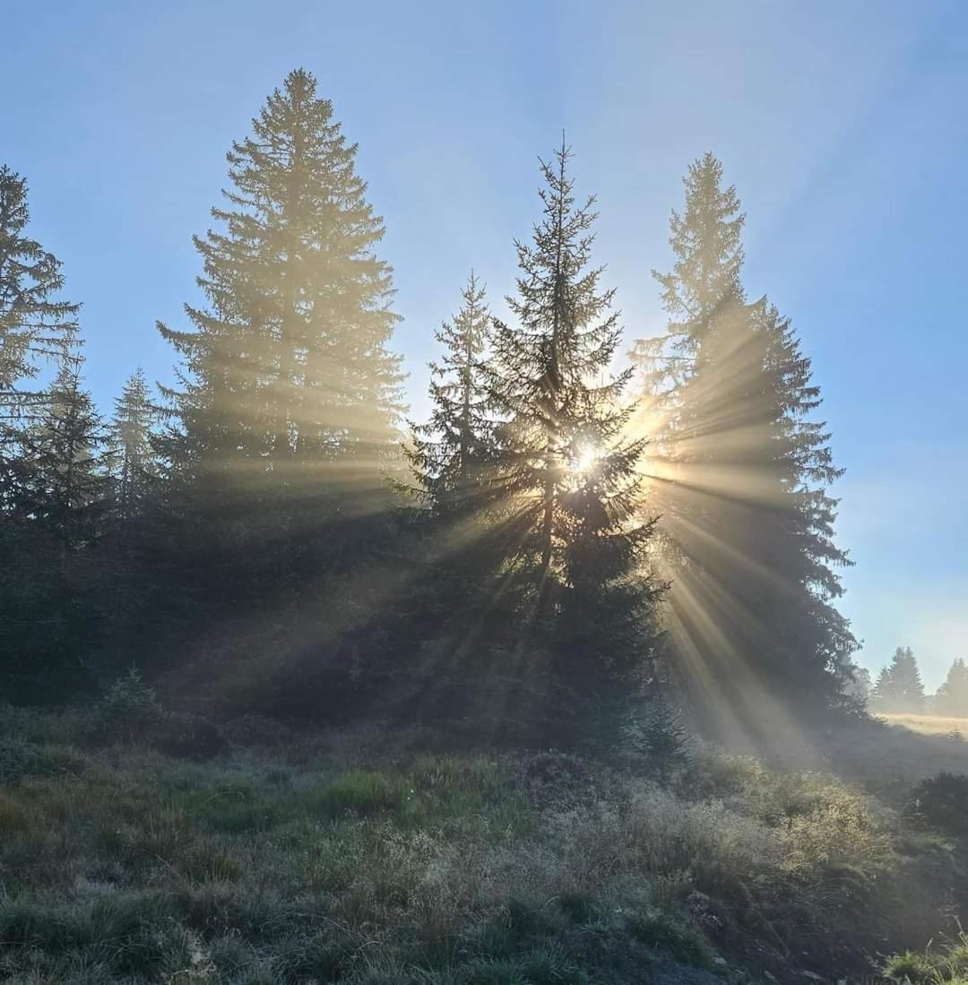Ubytovani U Krizku Modrava Bagian luar foto