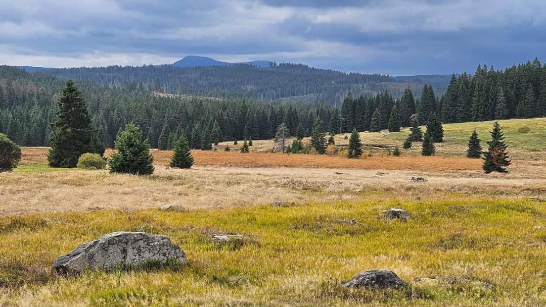 Ubytovani U Krizku Modrava Bagian luar foto