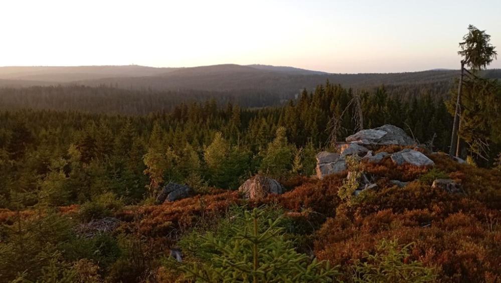 Ubytovani U Krizku Modrava Bagian luar foto