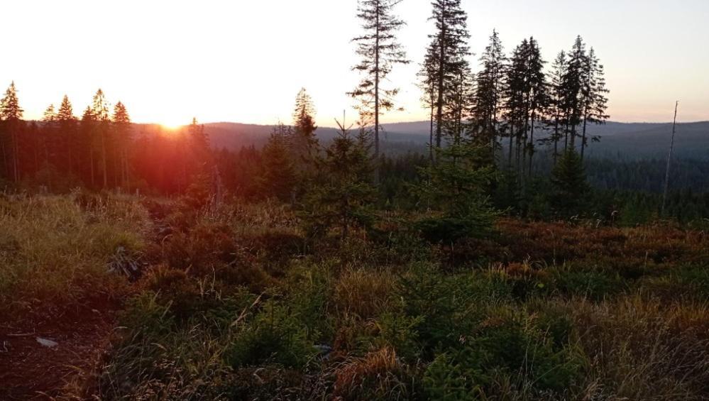 Ubytovani U Krizku Modrava Bagian luar foto