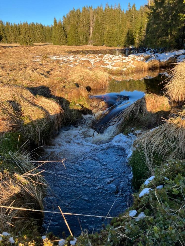 Ubytovani U Krizku Modrava Bagian luar foto