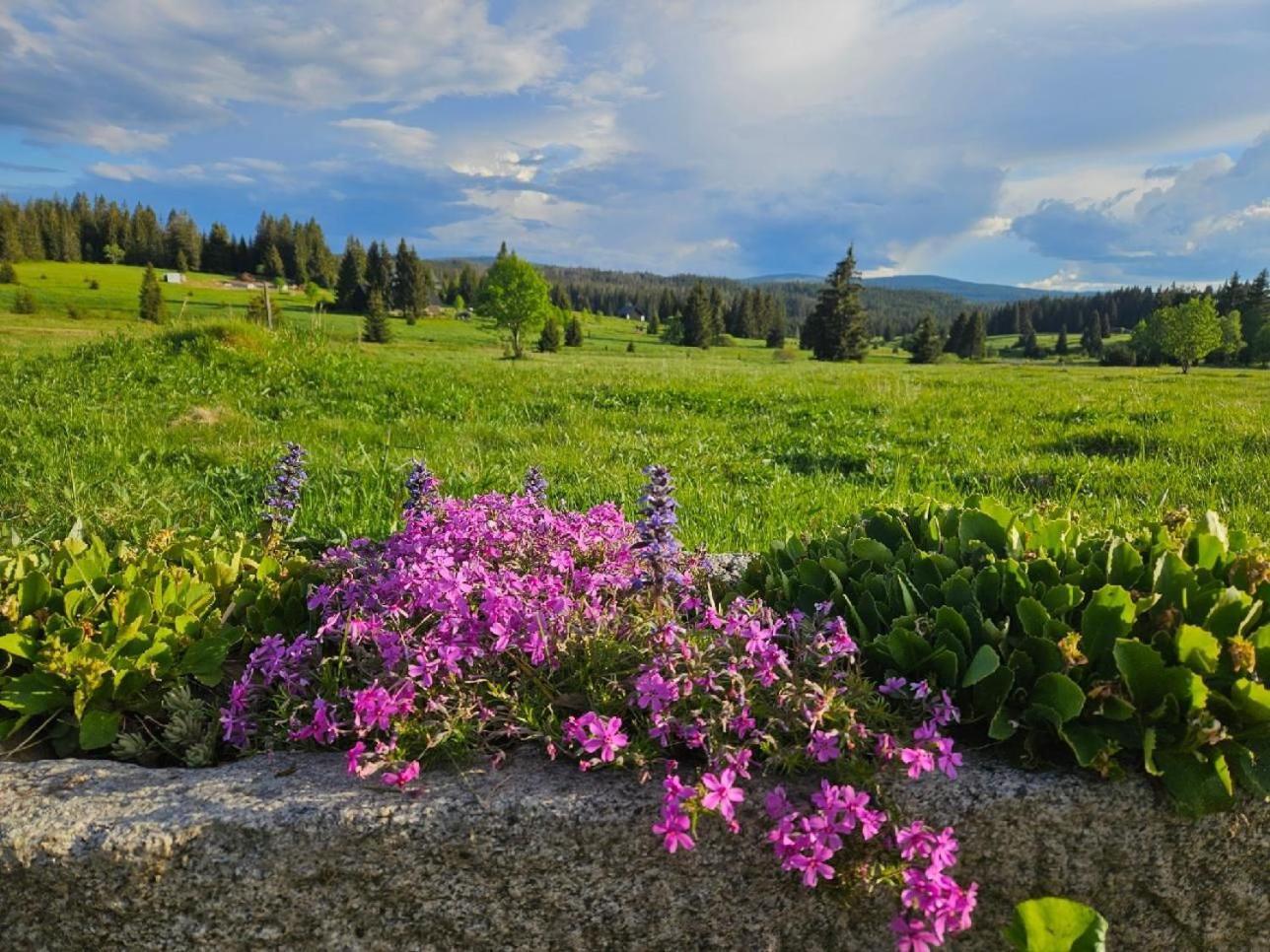 Ubytovani U Krizku Modrava Bagian luar foto